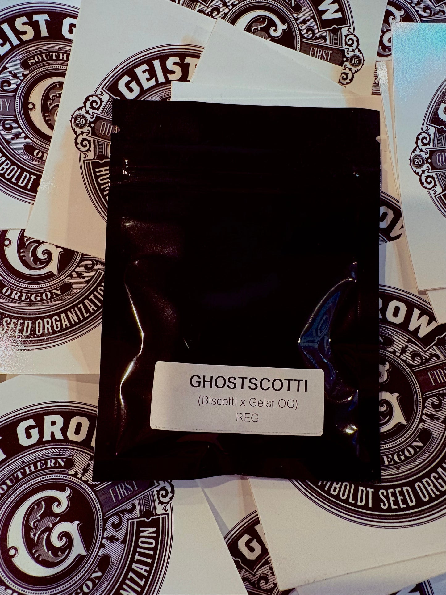 Geist Grow Seeds- Ghost Scotti- Reg