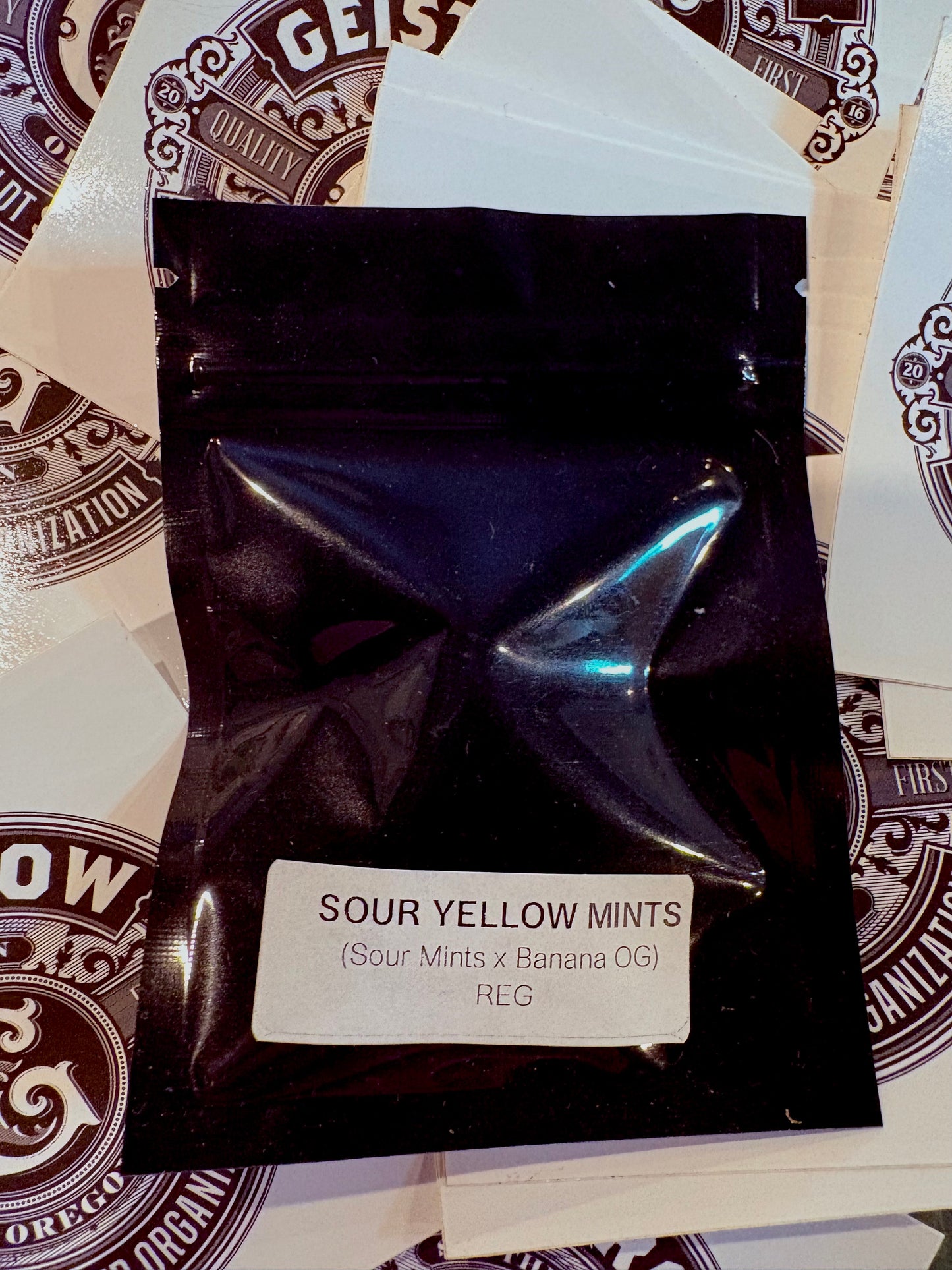 Geist Grow Seeds- Sour Yellow Mints Reg 12 pack