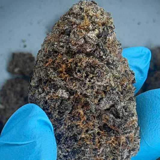 Tastemakers Indoor THCA Flower - Black Cherry- Hybrid