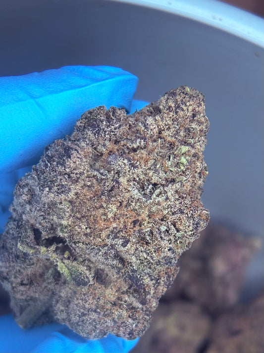 Tastemakers Indoor THCA Flower - Dark Queen- Hybrid