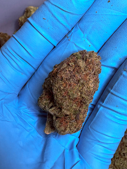Tastemakers Hemp THCA Flower - London Pound Cake- Hybrid
