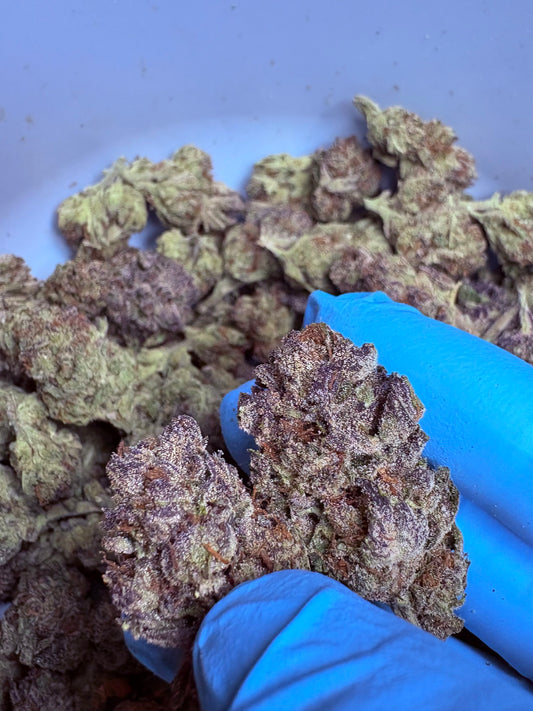 Tastemakers Hemp THCA Flower - Unicorn Poop- Hybrid