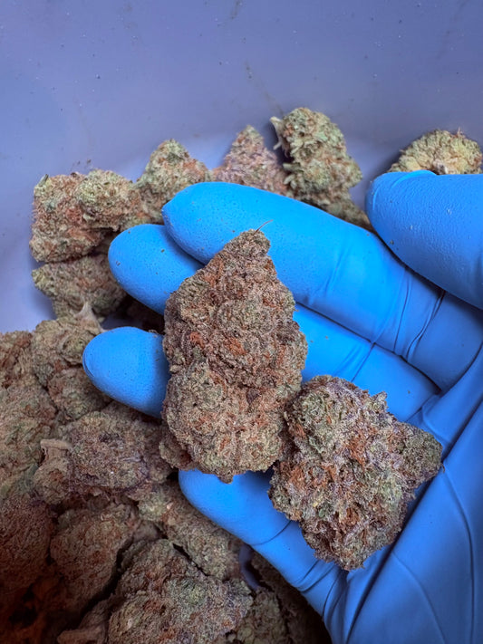 Tastemakers Indoor THCA Flower - Paloma- Sativa