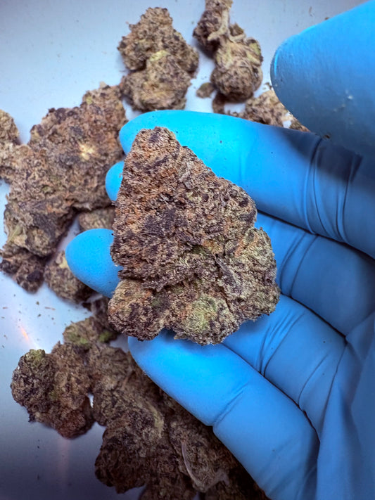 Tastemakers Indoor THCA Flower - Grape Gas- Indica
