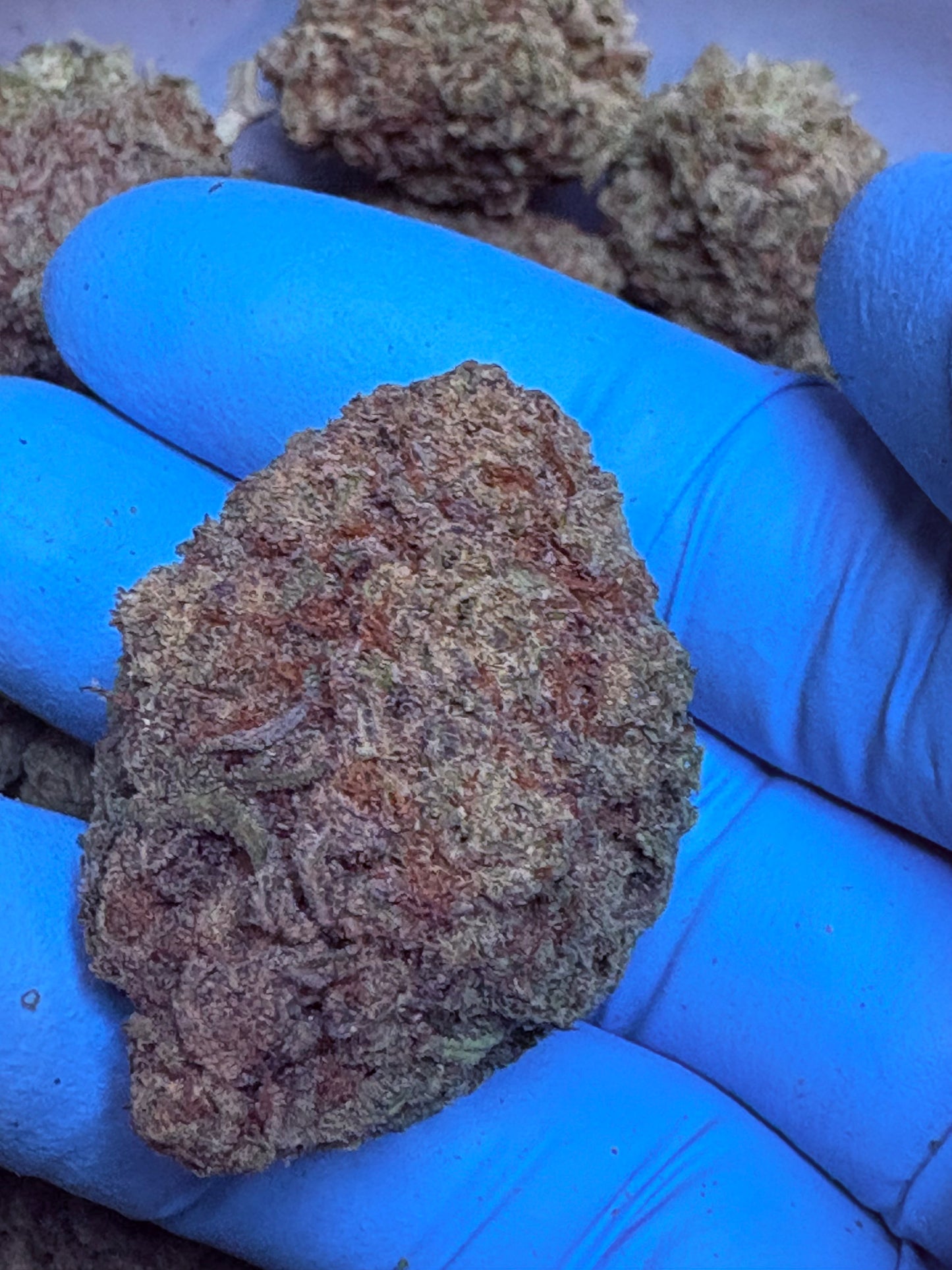 Tastemakers Hemp THCA Flower - Green Crack- Sativa