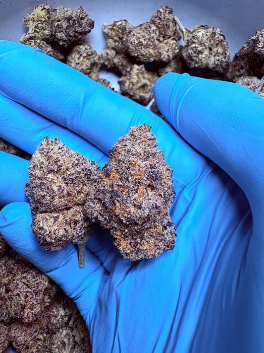 Tastemakers Indoor THCA Flower - Blue Andenese- Hybrid