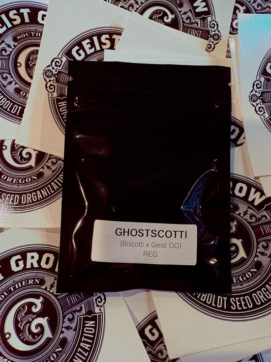 Geist Grow Seeds- Ghost Scotti- Reg