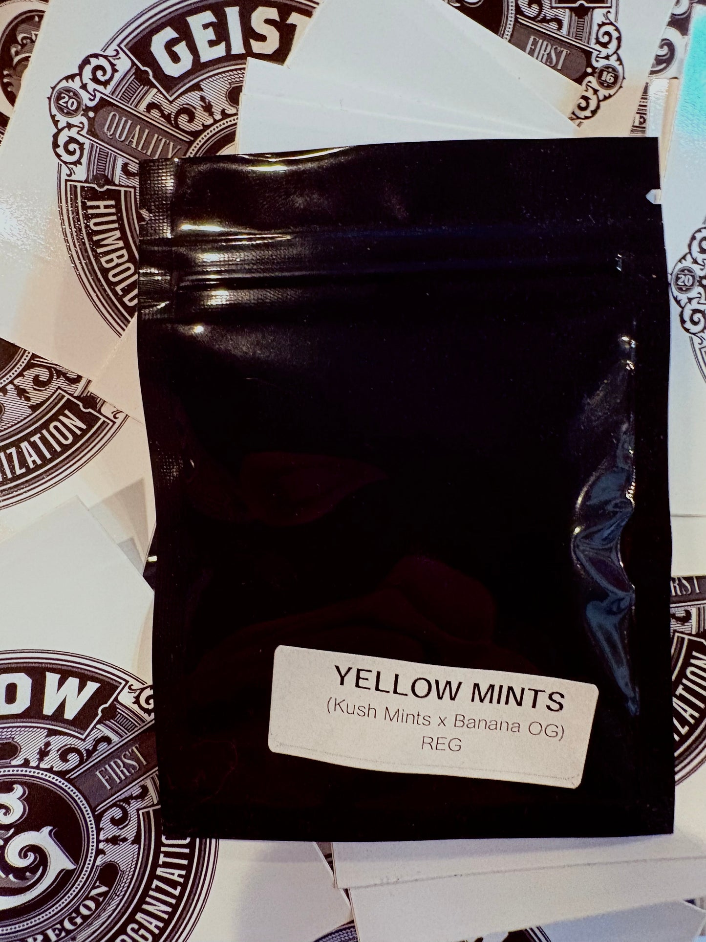 Geist Grow Seeds- Yellow Mints Reg 12 pack