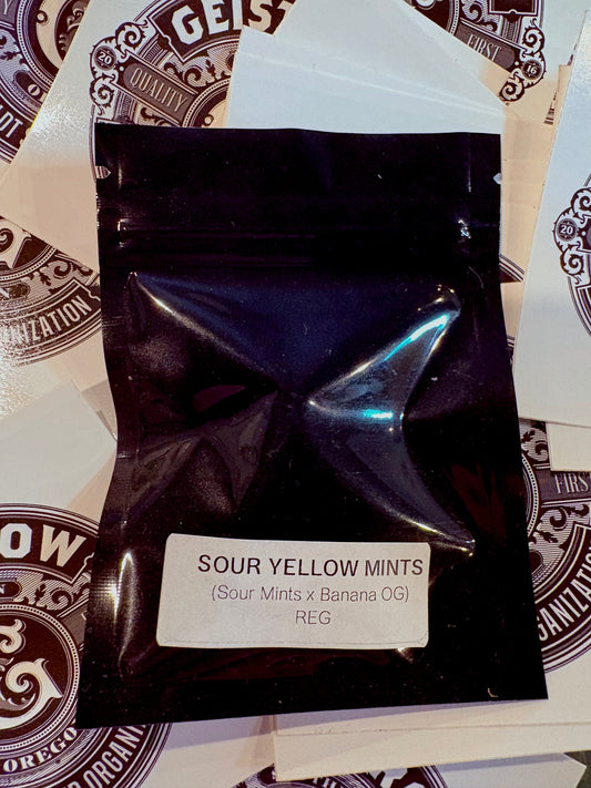 Geist Grow Seeds- Sour Yellow Mints Reg 12 pack