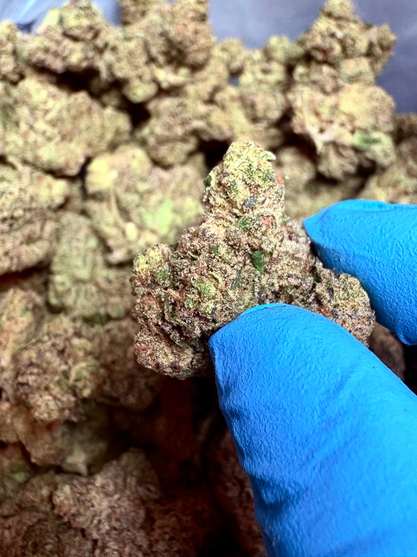 Tastemakers Hemp THCA Flower - E85- Indica