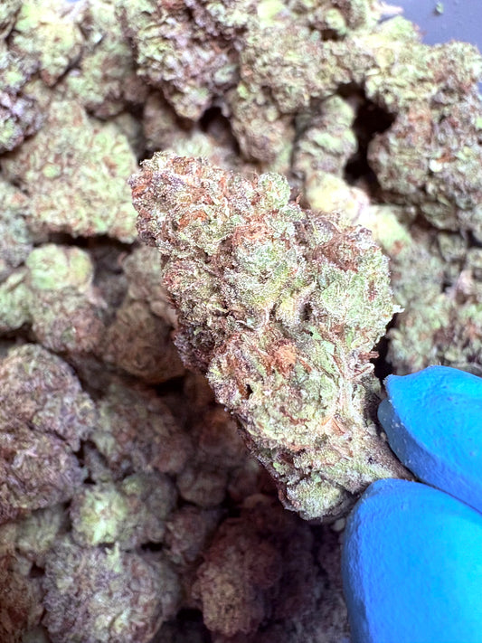 Tastemakers Hemp THCA Flower - Sharpies- Hybrid