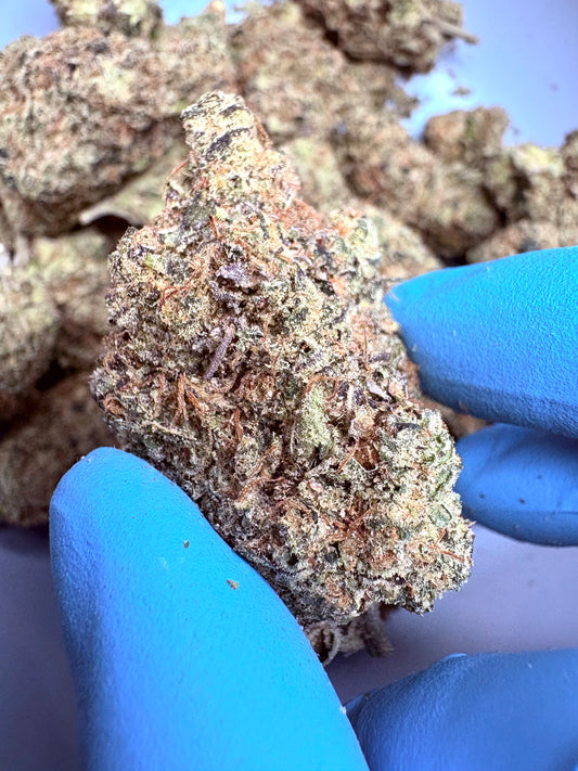 Tastemakers Indoor THCA Flower - Coconut Milk- Hybrid